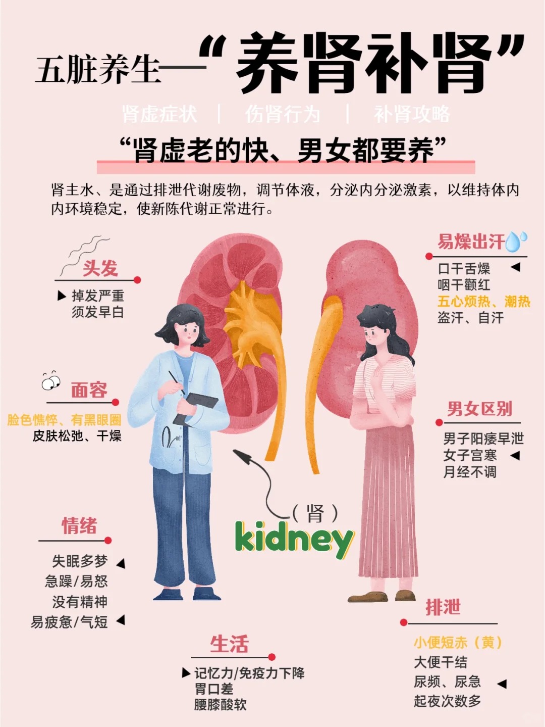 五脏养生 | 养肾篇。男女都要养！肾虚=加速衰老🚨。【肾虚分阴阳】。阴虚怕热🔥 阳虚畏寒❄️。气虚乏力😫 精虚早衰⌛